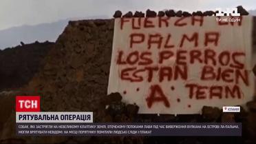 Новини світу: невідомі врятували собак із лавової пастки на Канарах