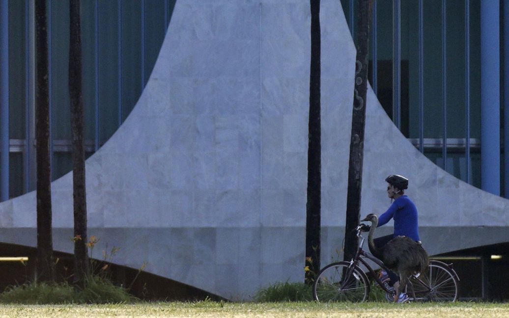 Президент Бразилии Дилма Руссефф едет на велосипеде рядом с птицей эму за пределами дворца Альворадо в Бразилиа. / © Reuters