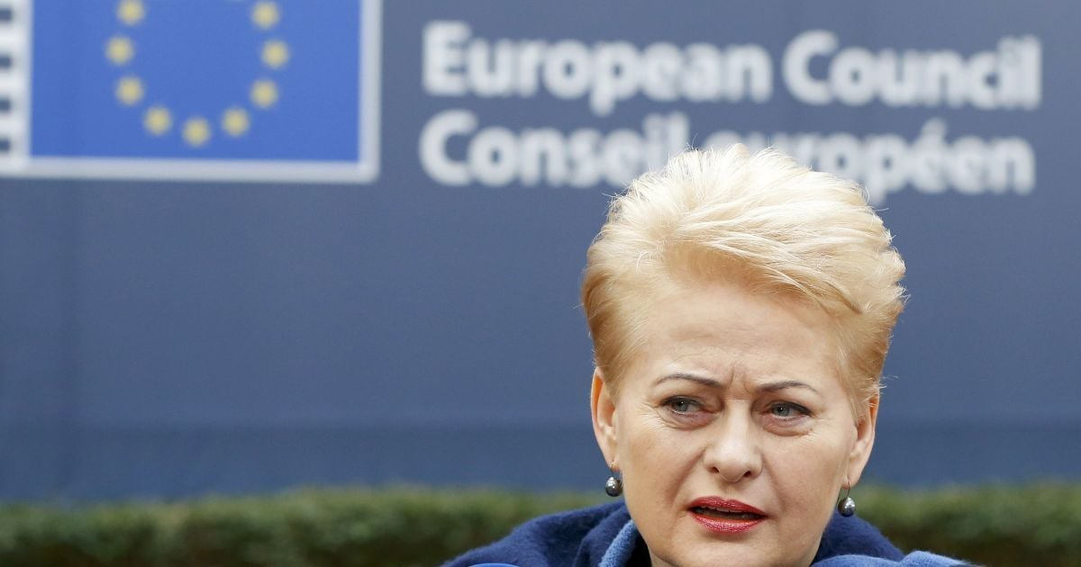 Грибаускайте считает, что к началу 2017 года Украина получит безвизовый режим с ЕС.