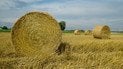 Вихідні в Україні будуть комфортними