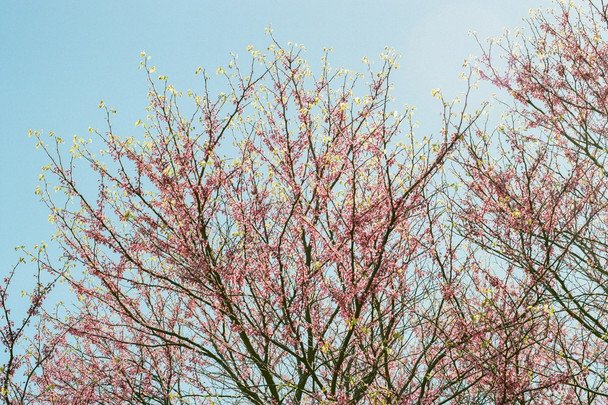Народні прикмети 18 квітня / © unsplash.com