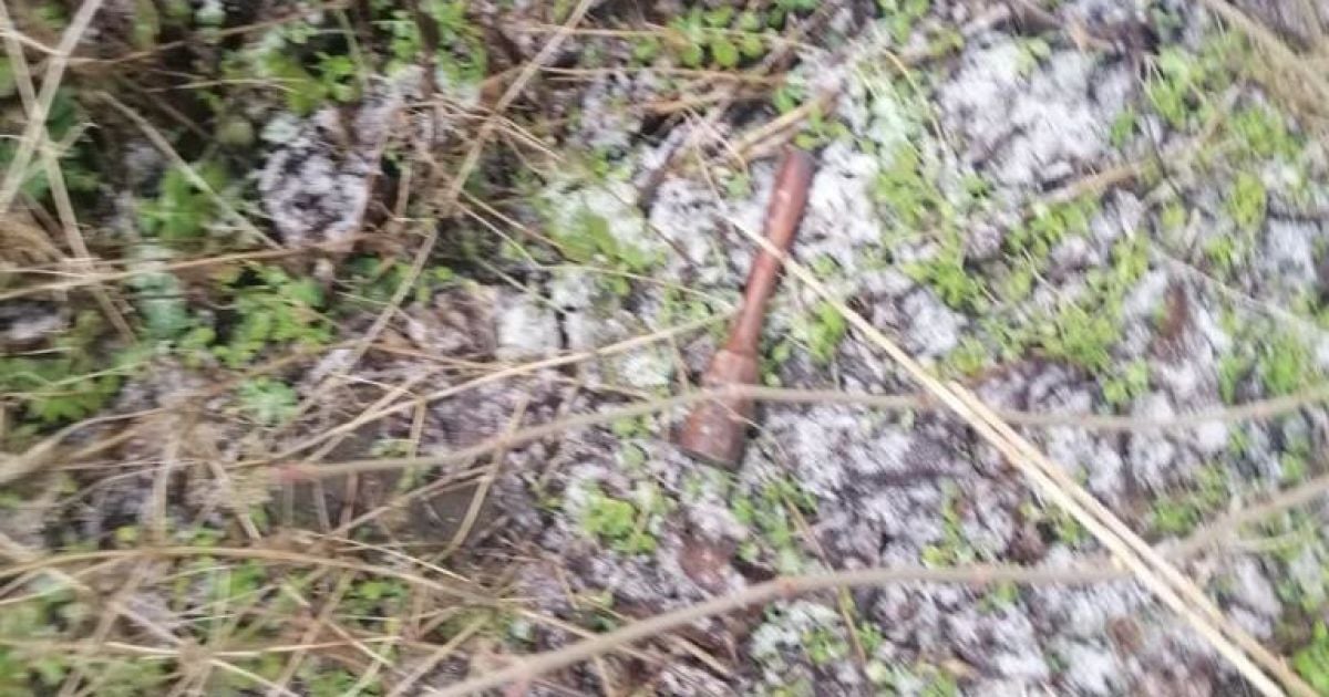 вбили бабусю_2 / © Головне управління національної поліції Київської області