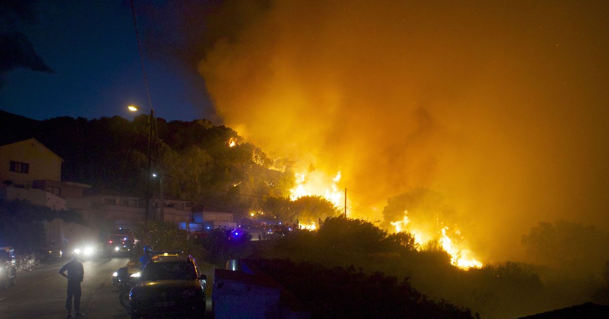 Французький острів у Середземному морі потерпає від лісових пожеж