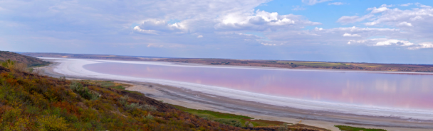  / © www.flickr.com/Basil P