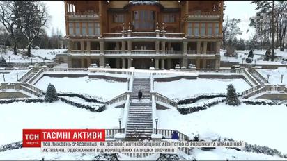 Почему средства, вложенные в экс-резиденцию Януковича, до сих пор не могут вернуть украинцам