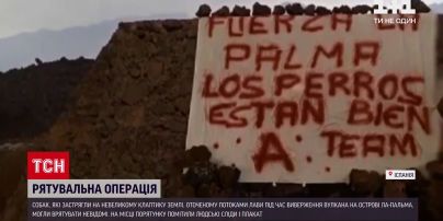 Новости мира: неизвестные спасли собак из лавовой ловушки на Канарах