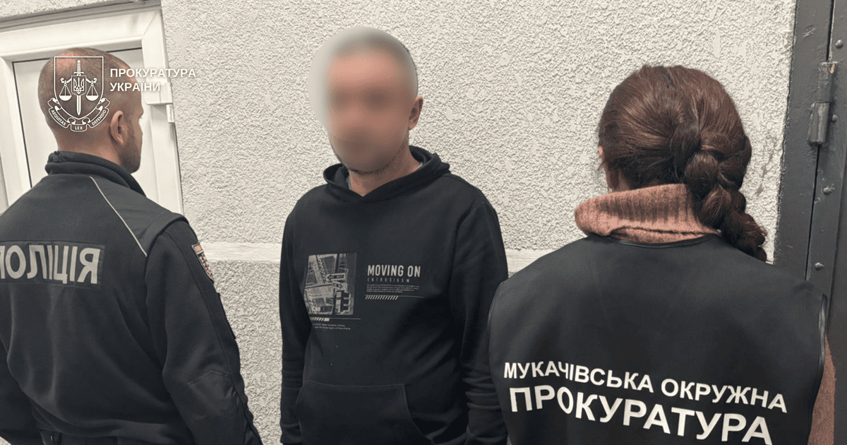 Задержанный злоумышленник