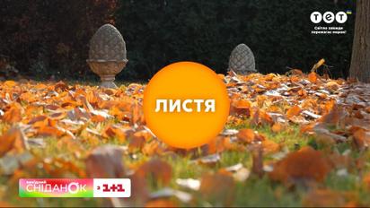 Що робити з опалим листям - поради садової блогерки Антоніни Лесик