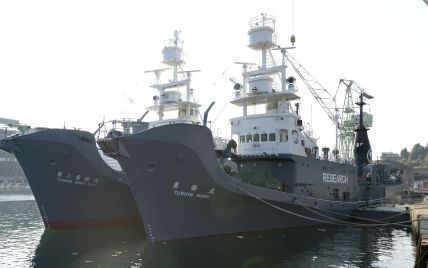 Японія поновила заборонений китобійний промисел у Антарктиці. Інфографіка