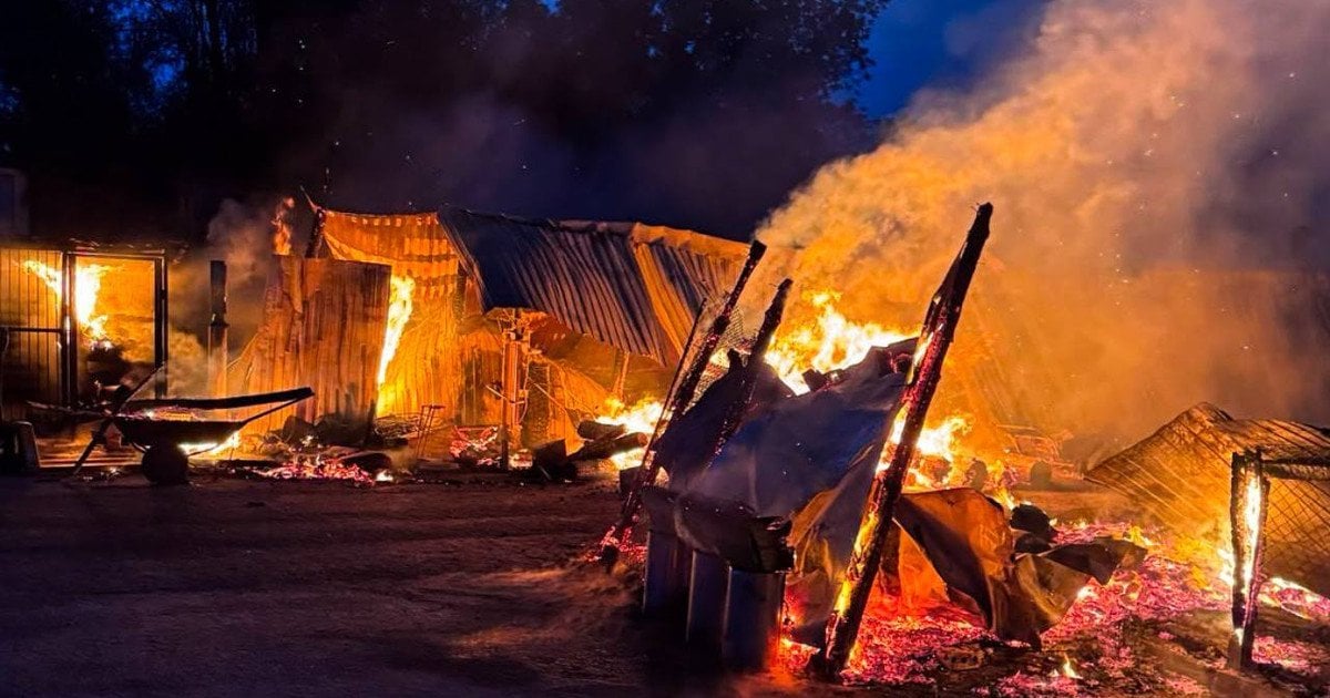Пожежа у притулку «Сіріус» під Києвом