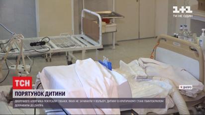 Лікарі Дніпра борються за життя дворічного хлопчика, якого пошматували собаки