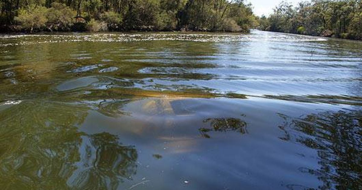 В Винницкой области из реки достали авто