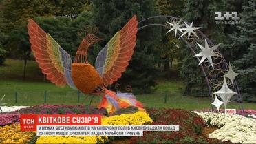 В Киеве на Певческом поле высадили более 20 тысяч кустов хризантем