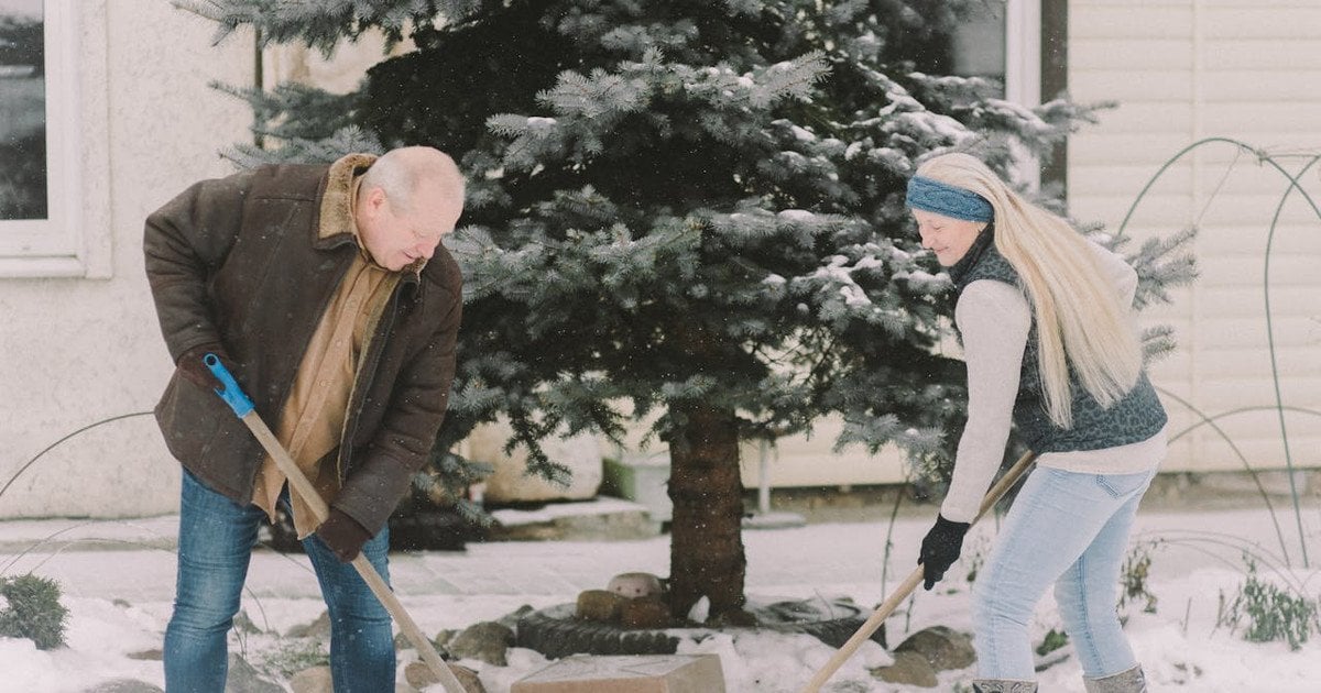 Місячний осівний календар на січень 2026