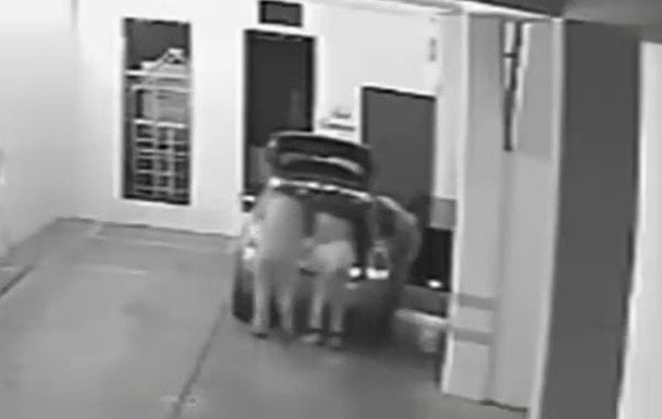 Вывезли без сознания в багажнике. / © dailystar.co.uk