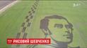 На Херсонщині з чорного рису "виростили" гігантський портрет Шевченка