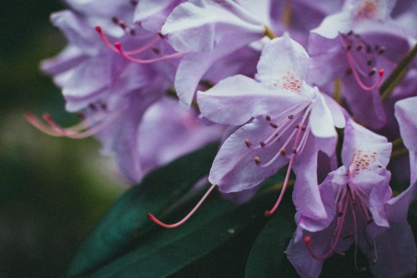 Народные приметы 29 мая / © Pexels