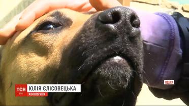 В Одессе патрульные стреляли в собаку вблизи детской площадки