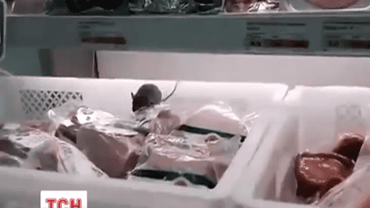 В харьковском супермаркете один из покупателей заснял грызуна на видео