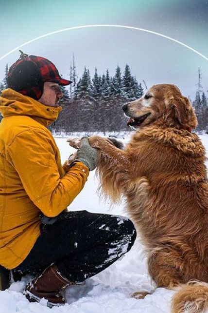 Стоматолог з Аляски став зіркою Instagram завдяки неймовірним фото собак