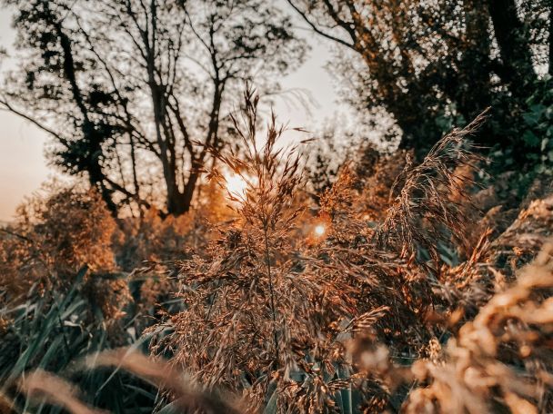 Народні прикмети 14 жовтня / © Unsplash