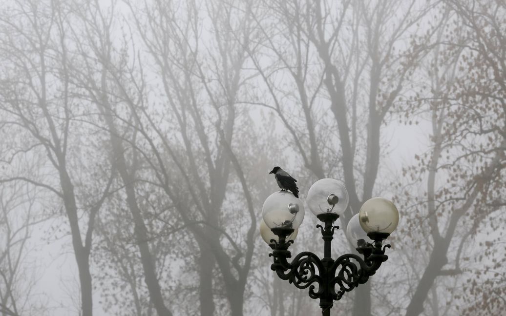 Киев накрыл густой туман / © Reuters