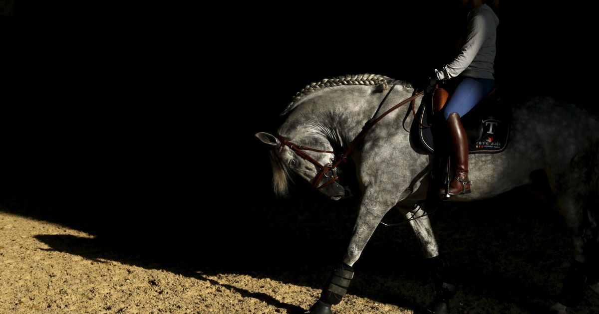 Жінка їде на коні породи чистокровна іспанська під час міжнародного кінного ярмарку, який присвячений лише цій породі, у Севільї на півдні Іспанії. / © Reuters