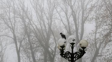 Київ накрив густий туман / © Reuters