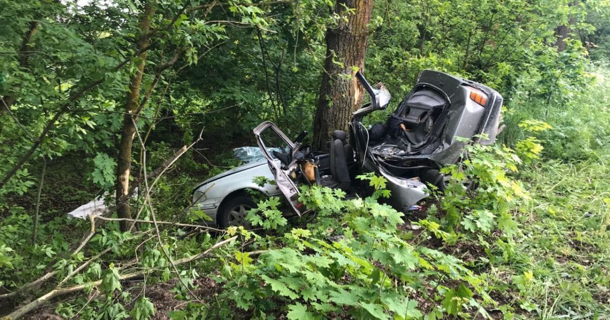 Під Броварами п'яний водій в'їхав у дерево: 16-річна пасажирка загинула на місці ДТП