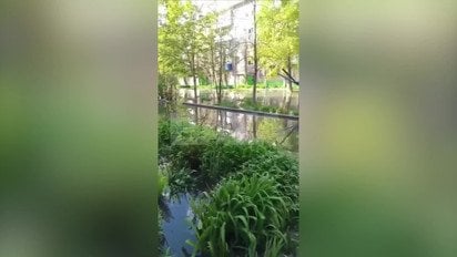 Энгельс накрыл “фекальный апокалипсис”: город, откуда взлетают истребители РФ, тонет в нечистотах