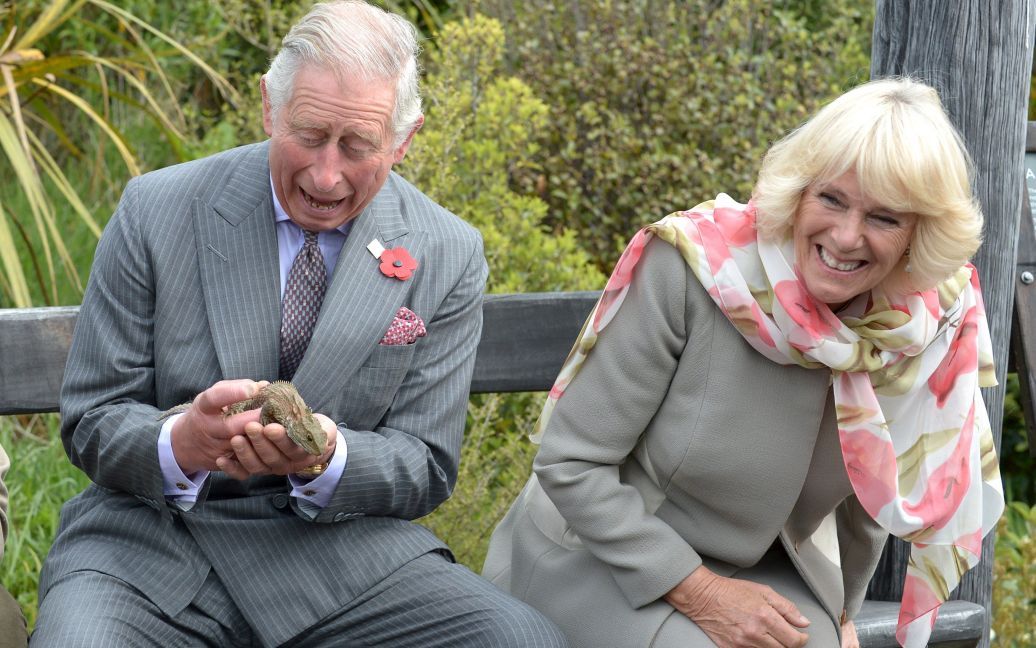 Британський принц Чарльз тримає ящірку Туатара під час візиту до святилища Ороконуі Еко у Новій Зеландії. Принц відвідав святилище разом з Каміллою, герцогинею Корнуолла. / © Reuters