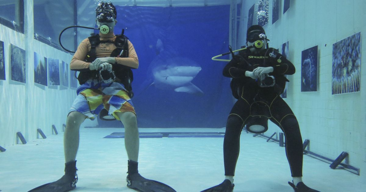 Дайвери дивляться на підводні фотографії на виставці, що відбулася в критому басейні для дайвінгу у Пекіні, Китай. Виставка сорока підводних фотографій була організована, щоб забезпечити відвідувачам нетрадиційний досвід перегляду через зміни слуху, зору і відчуття тяжкості під водою. / © Reuters