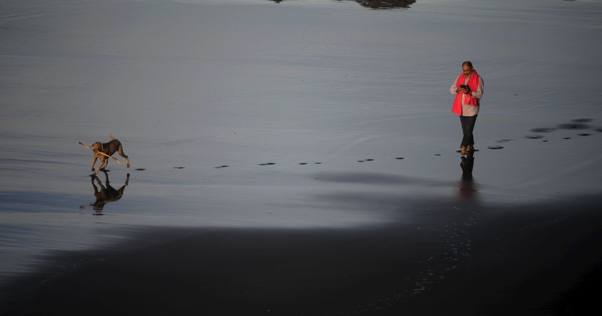 Фотограф зняв, як людина та її собака ходять вздовж пляжу у місті Сан-Хуан-де-ла-Арена на півночі Іспанії. / © Reuters