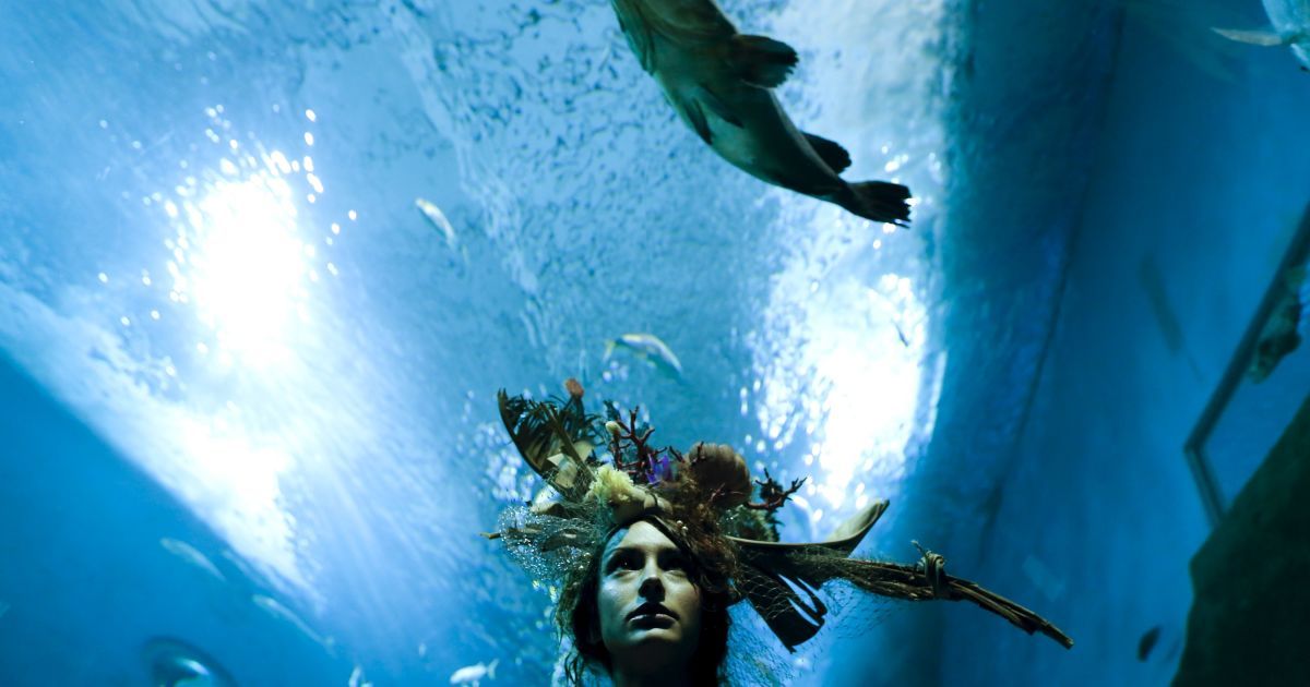 Модель носить витвір дизайнера Луїса Бенітеса під час зйомок в акваріумі на заході Мода Андалусії у  Севільї, на півдні Іспанії. / © Reuters