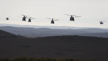 Обучение Trident Juncture 2015 продлятся до 6 ноября. / © Reuters