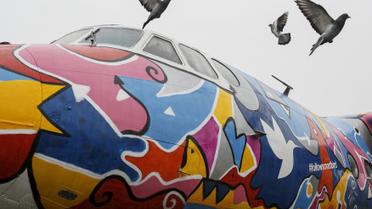 У Жулянах з&#039;явився мальовничий АН-24 для селфі / © Reuters