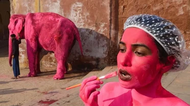 Росіянка Юлія Бурулєва на рожевому слоні_2 / © Instagram @julia.buruleva