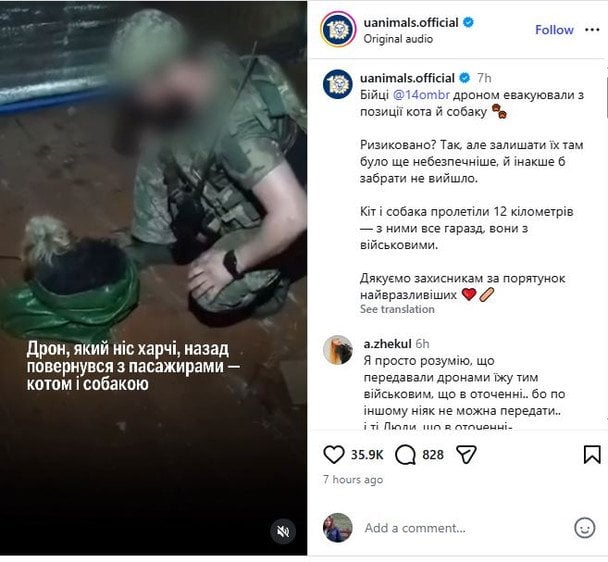 Військові дроном евакуювали кота і собаку з передової Фото скрін відео UAnimals.