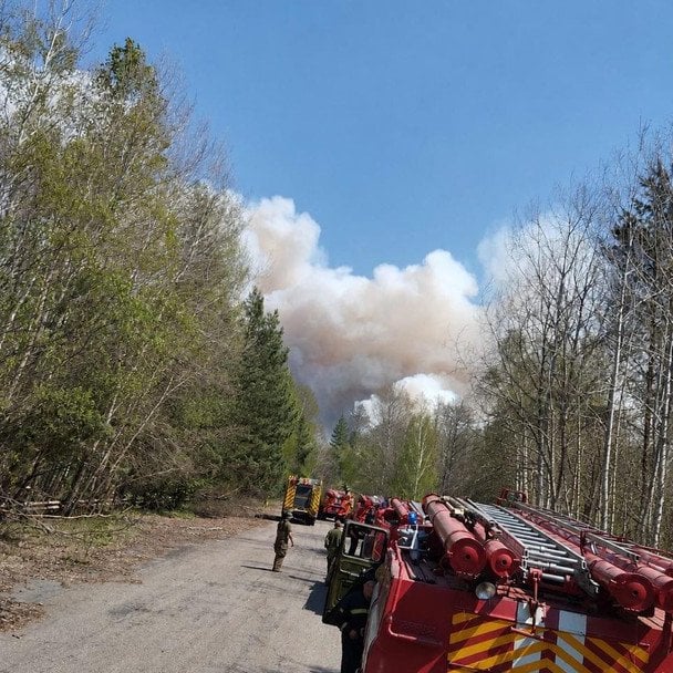 Пожежа в Чорнобильській зоні / © Чорнобильський радіаційно-екологічний біосферний заповідник
