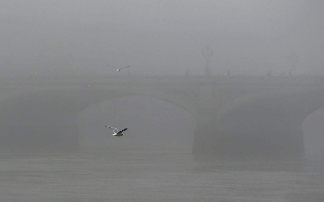 Лондон погрузился в рекордный туман / © Reuters