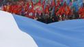 В России упала реальная зарплата населения