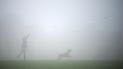 Вранці в Україні буде туманно