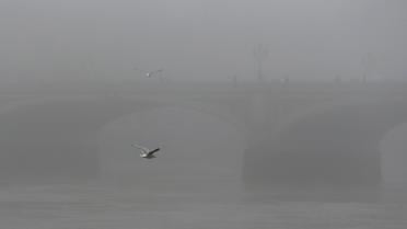 Лондон погрузился в рекордный туман / © Reuters