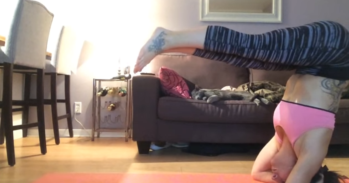 Пользователи Сети смеются над видео, в котором женщина до полусмерти перепугала кошек своей йогой