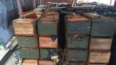 Поліція Київщини розслідує факт вибуху боєприпасів у Бородянському районі, де загинула людина