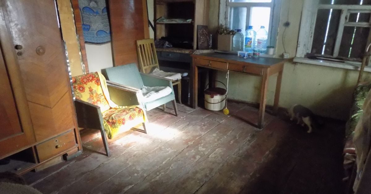 Котів били палицями та рубали лопатами. У Харкові невідомі напали на притулок для тварин