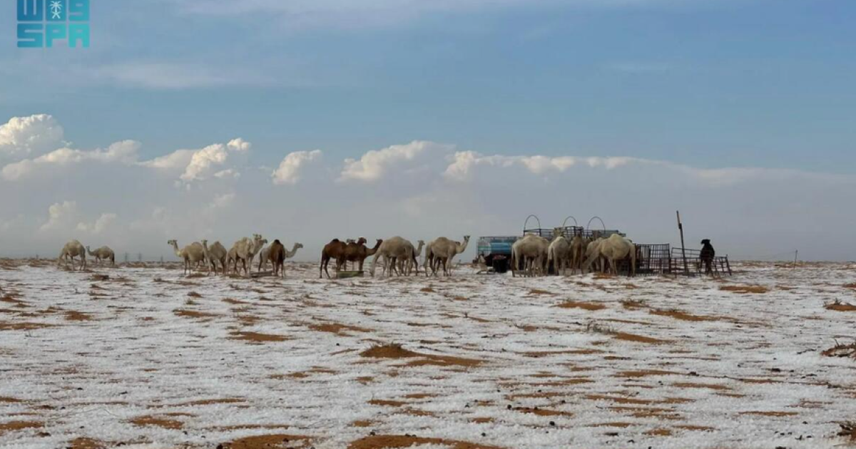 Снег в пустыне Саудовской Аравии