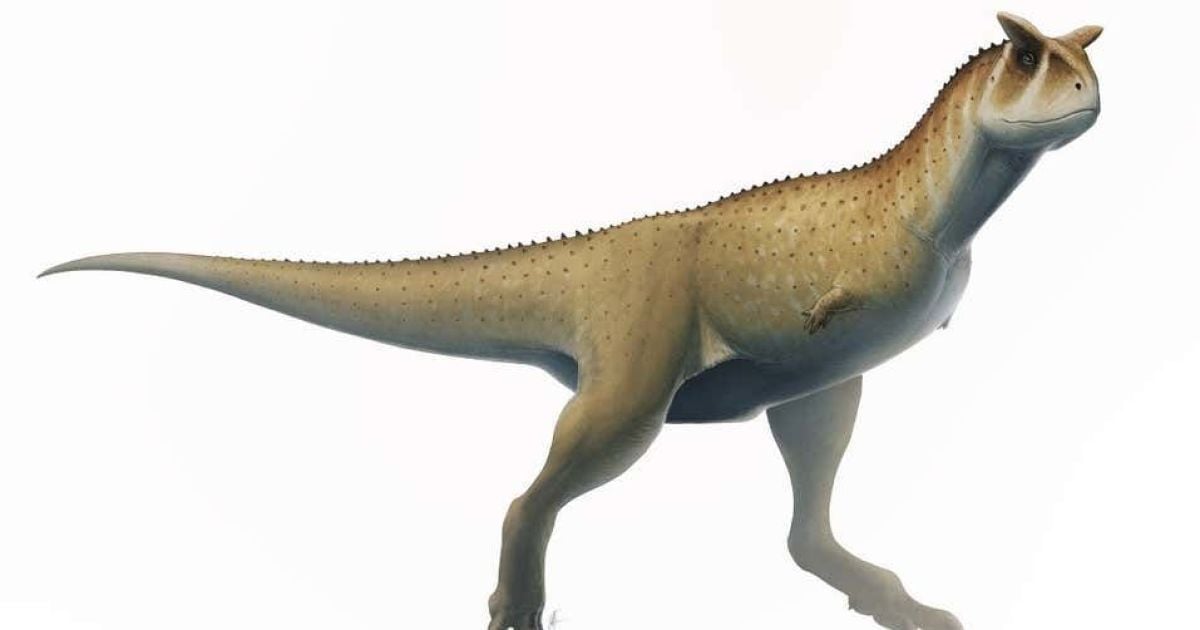 Палеонтологи впервые обнаружили останки гигантского "безрукого" динозавра