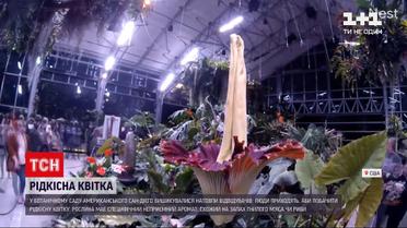 Новости мира: в ботаническом саду Сан-Диего можно увидеть редкий цветок