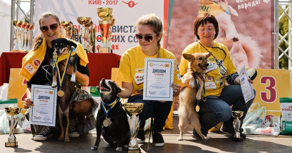 "Для дружби не важлива порода!" - впевнені учасники Ювілейного 10-го Кубку Барбоса